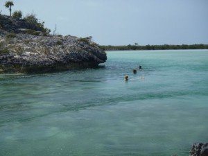 Mangrove Creek on Shroud Cay Bahamas